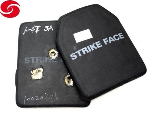 Nij0101.06 IV Sta Aluminum Ceramic Plate PE Plate
