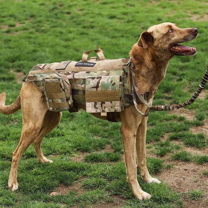 Tactical Military Police Customized Breathable Mesh Dog Harness Pet Vest for Man