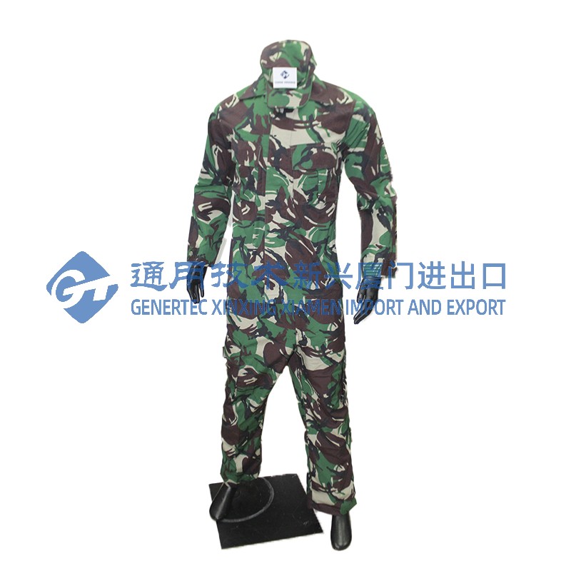 Uniformes de camouflage militaires d'Asie du Sud-Est